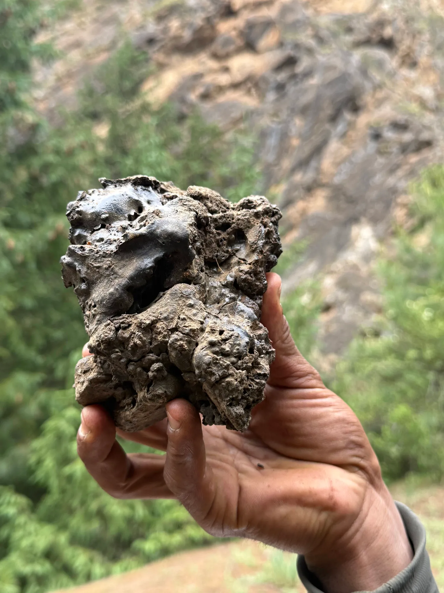 What the Mountains Leave Behind
