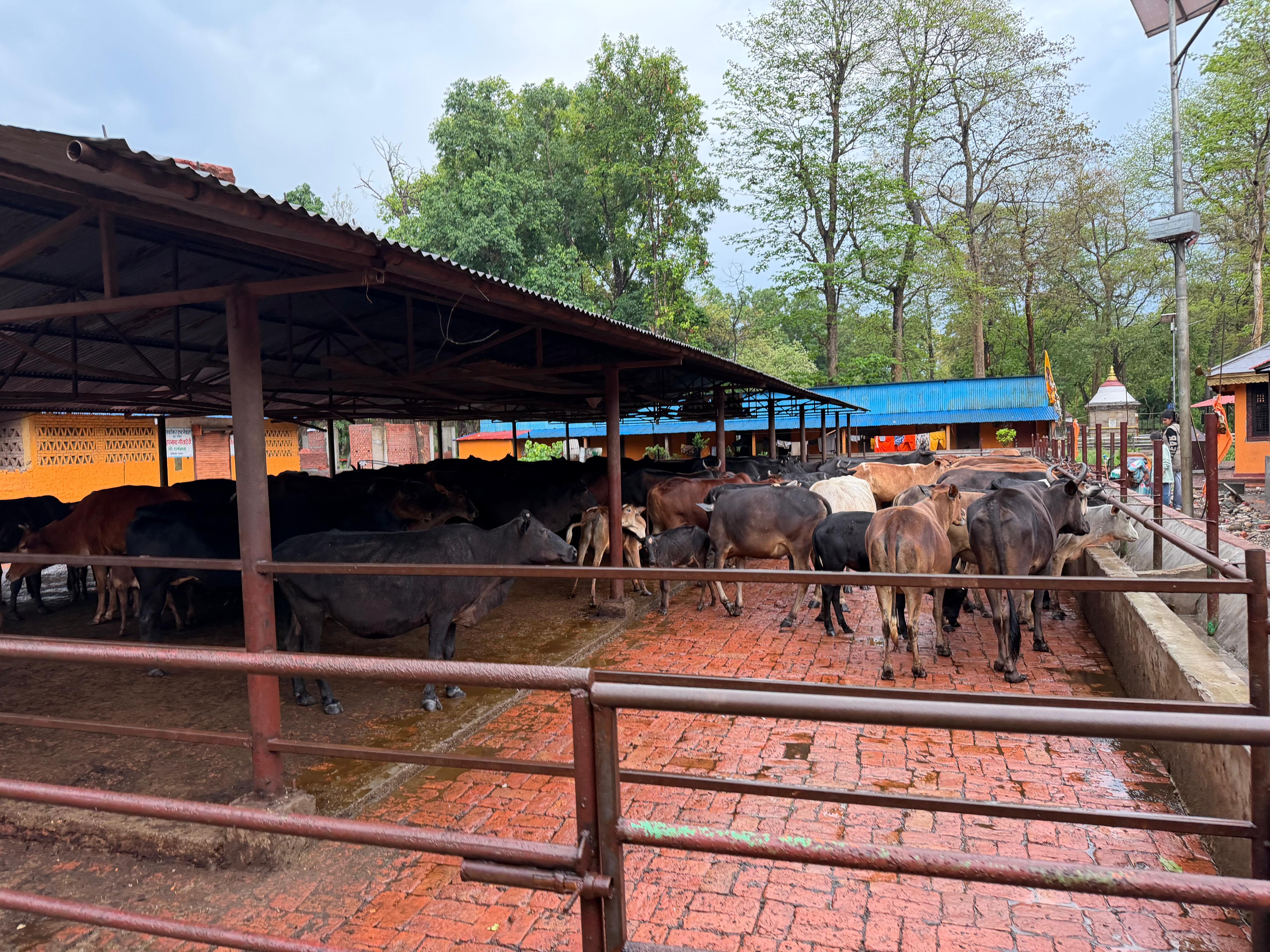 Regenerative Nutrient Sourcing — Chitwan Bio-Fertilizer Facility