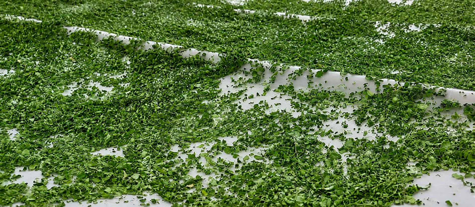 Cold-Room Drying