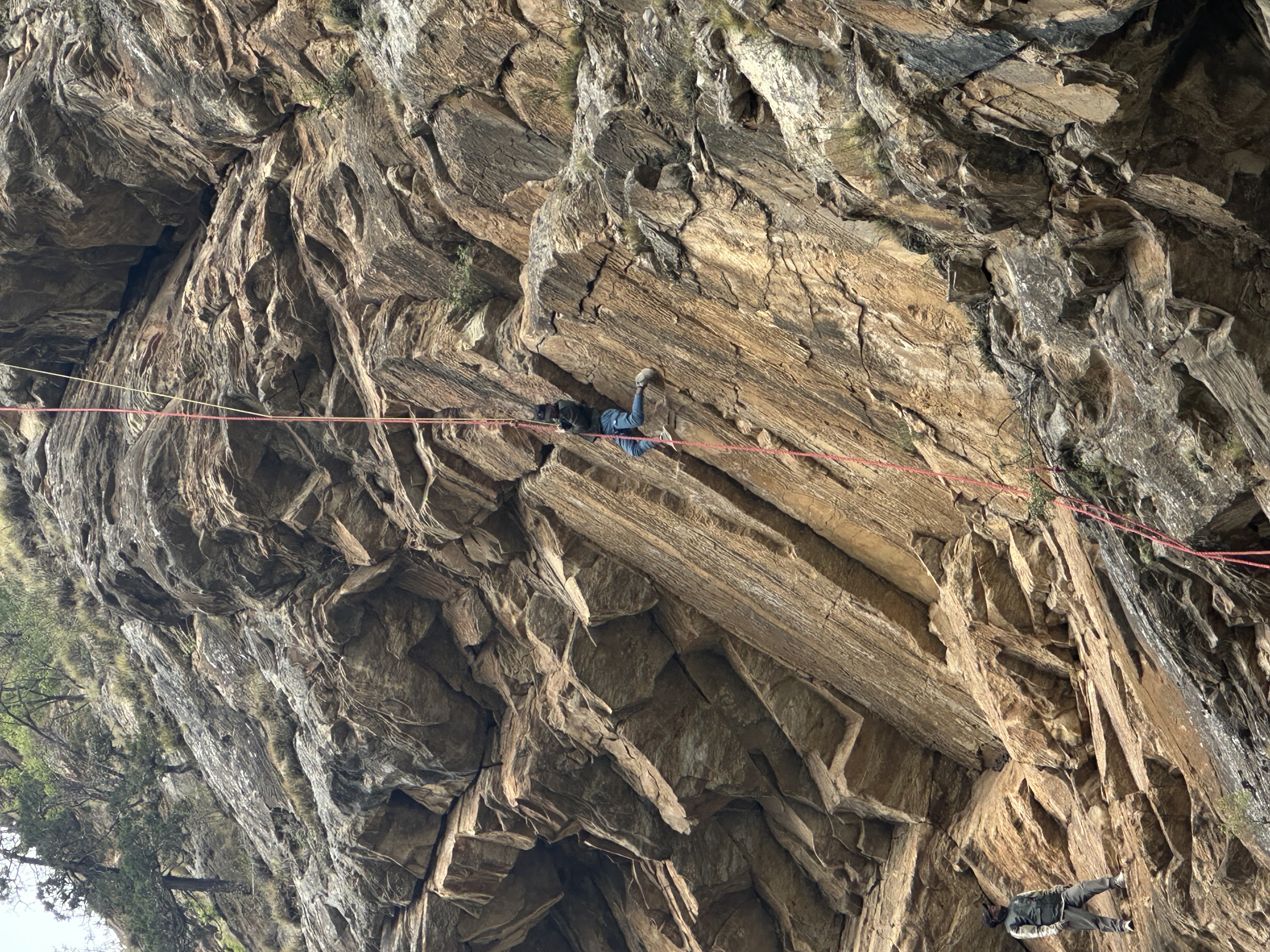 Traditional Himalayan Harvesting — Dolpa