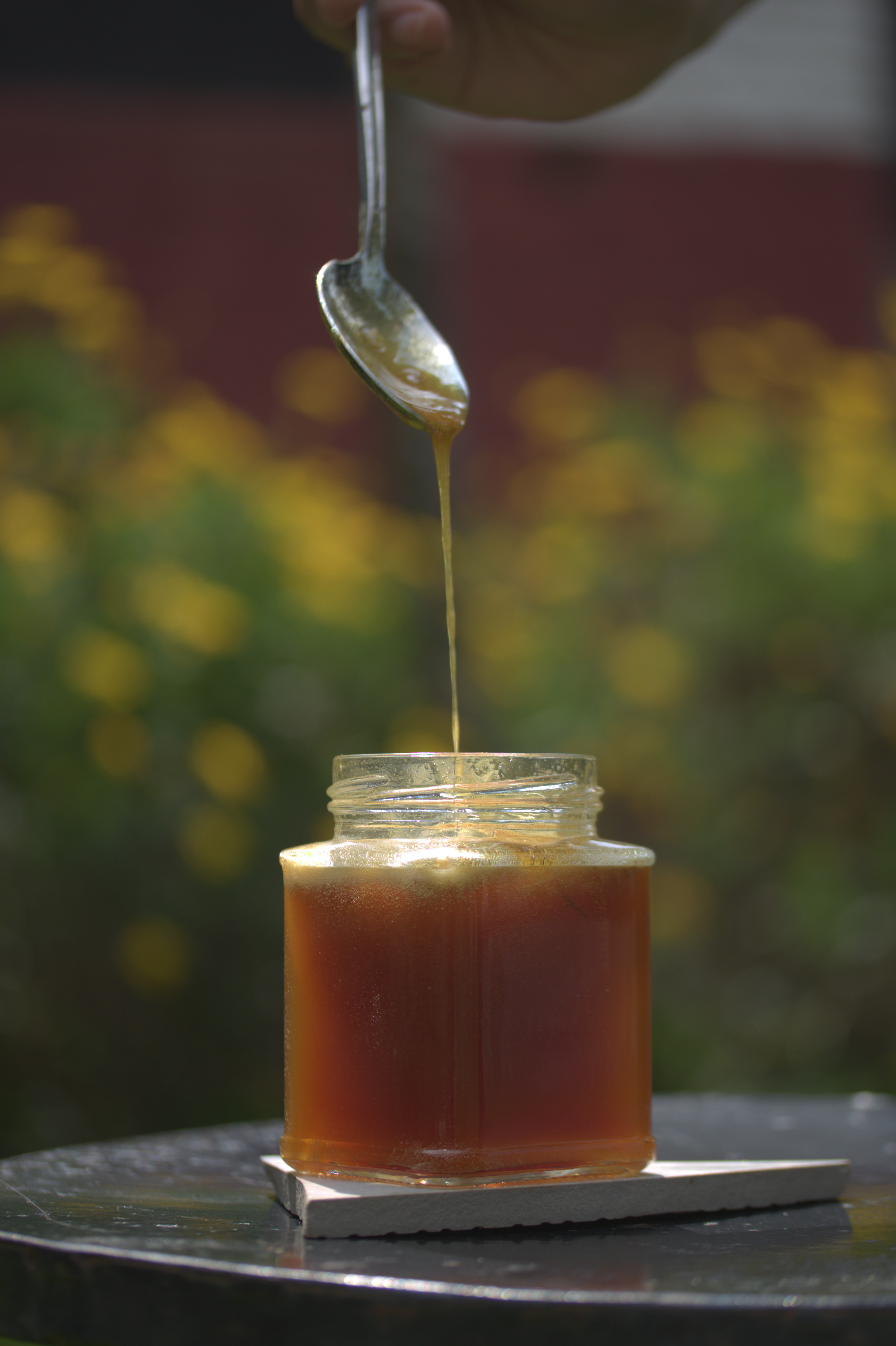 Wild Honey